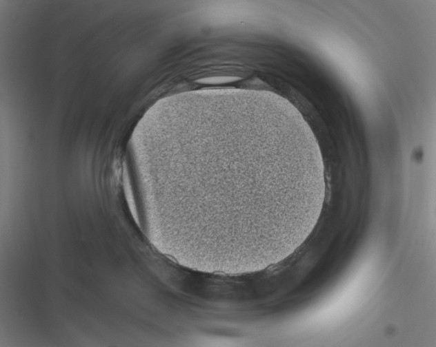 X0000116610190201001081218