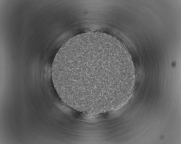 X0000116610191201001081218