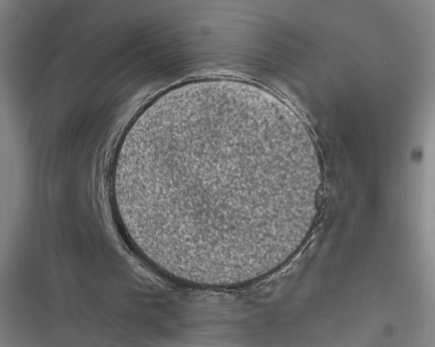 X0000116610193201001081218