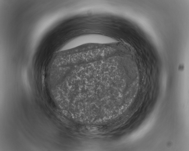 X0000116610194201001081218