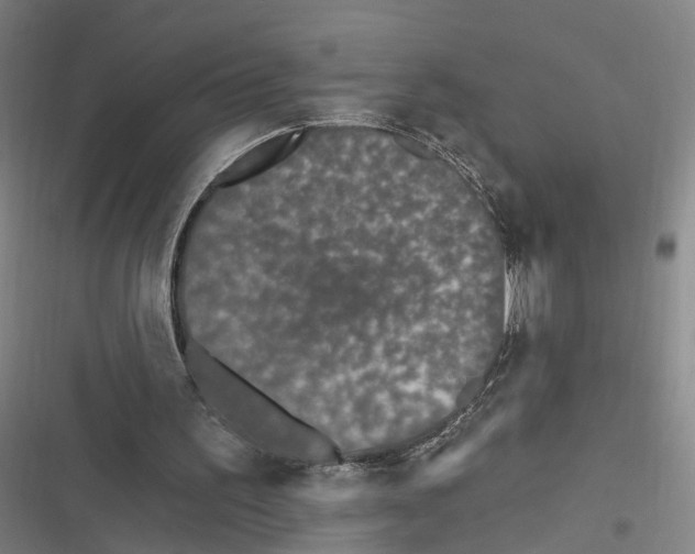 X0000116610195201001081218