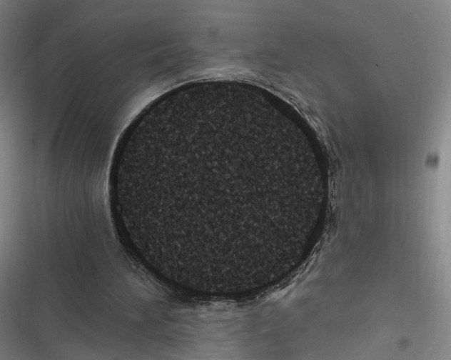 X0000116610196201001081218