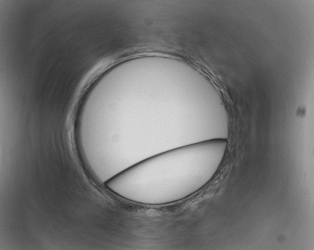 X0000116610197201001081218