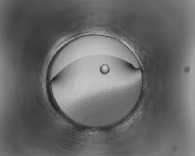 X0000116610199201001081218