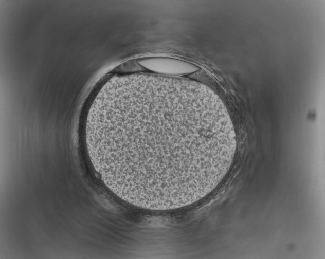 X0000116610200201001081218