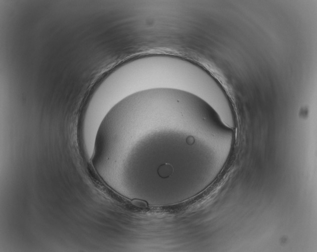 X0000116610201201001081218