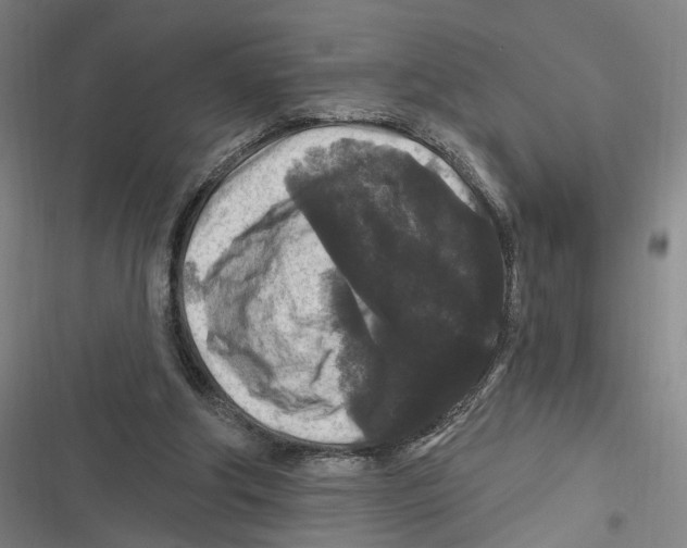 X0000116610202201001081218