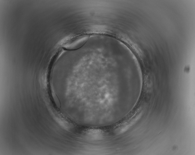 X0000116610203201001081218