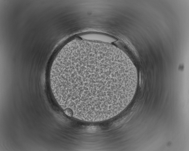 X0000116610204201001081218