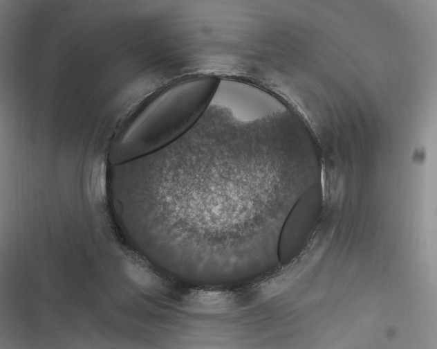 X0000116610205201001081218