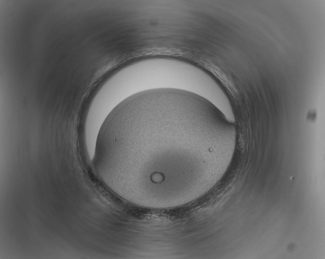 X0000116610207201001081218