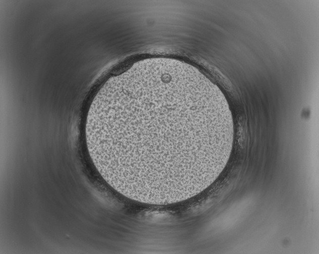 X0000116610208201001081218