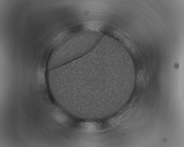 X0000116610209201001081217