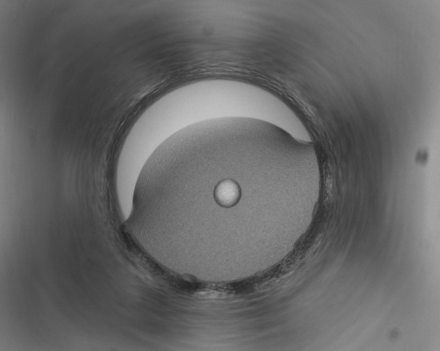 X0000116610211201001081217