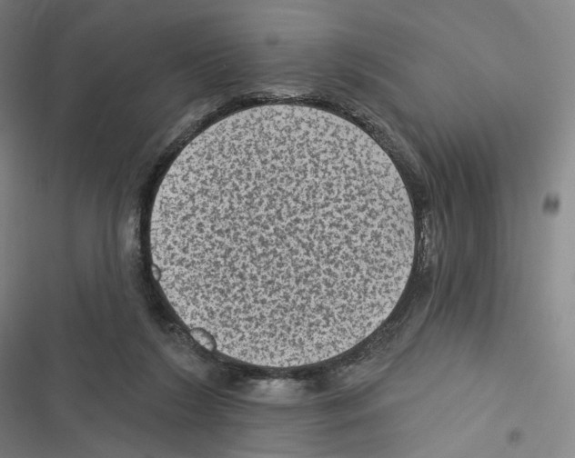 X0000116610212201001081217