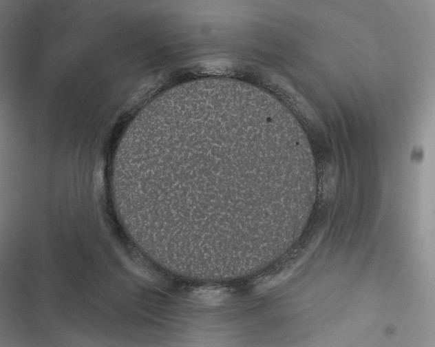 X0000116610213201001081217