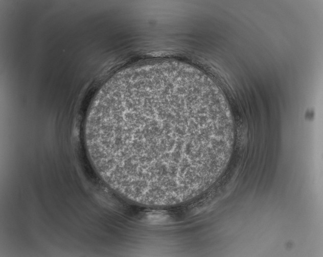 X0000116610214201001081217