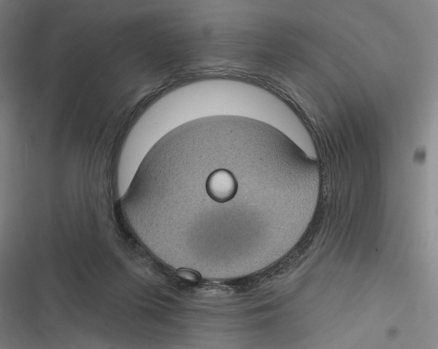 X0000116610215201001081217