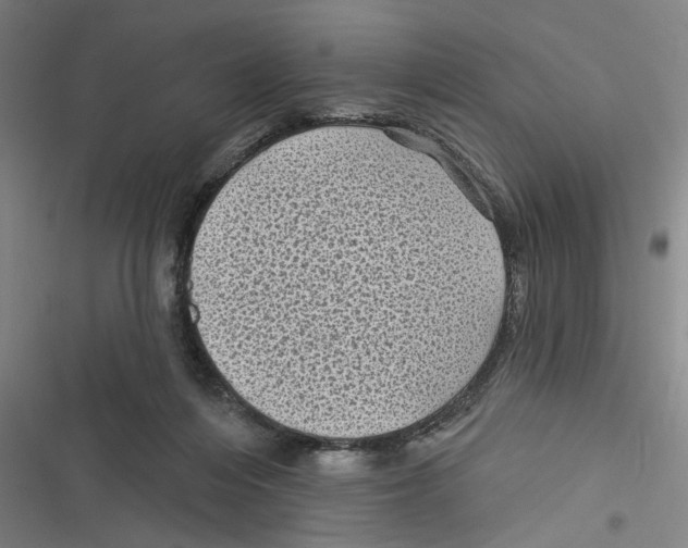 X0000116610216201001081217