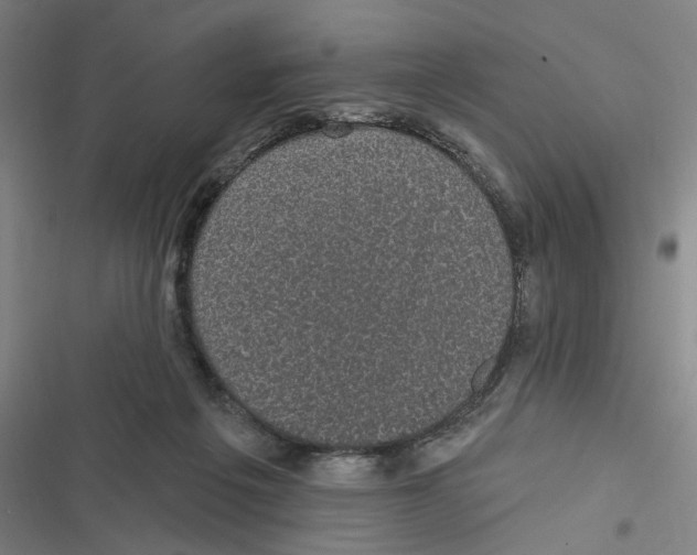 X0000116610217201001081217