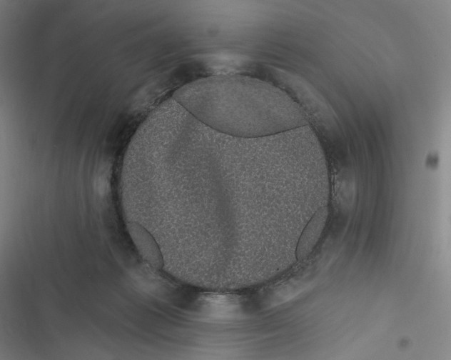 X0000116610221201001081217