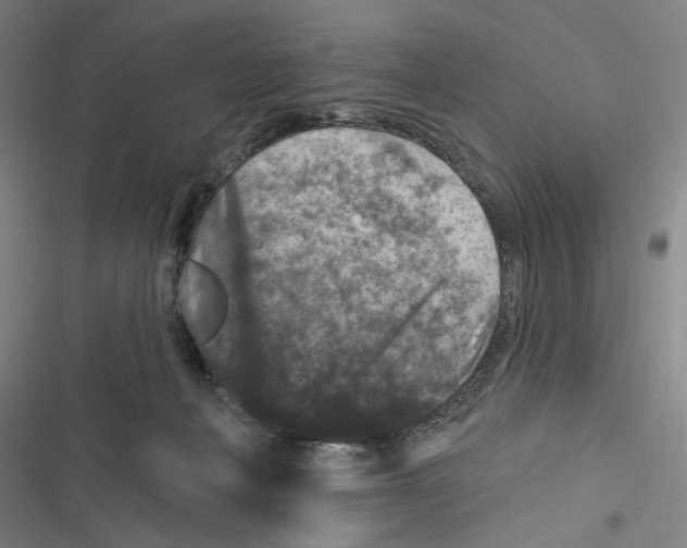 X0000116610222201001081217