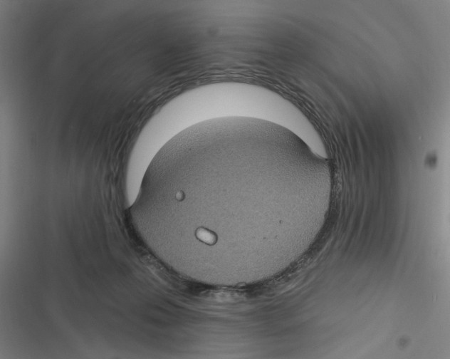 X0000116610223201001081217