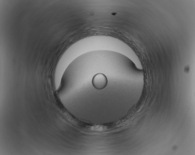 X0000116610225201001081217