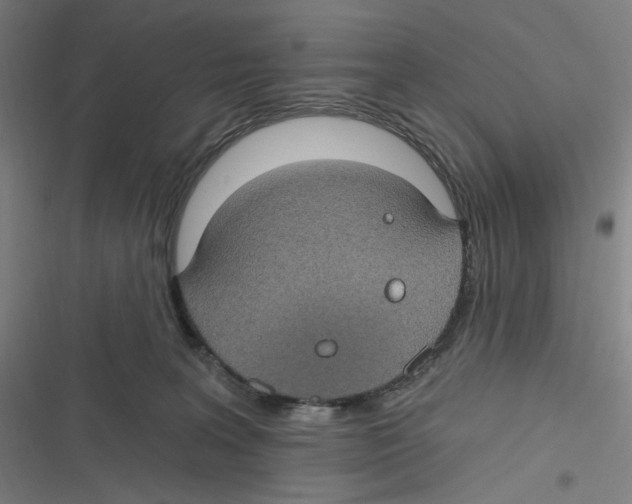 X0000116610227201001081217