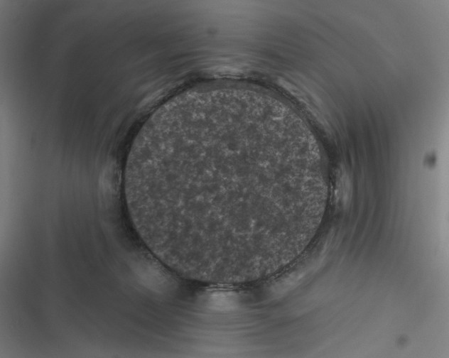 X0000116610228201001081217