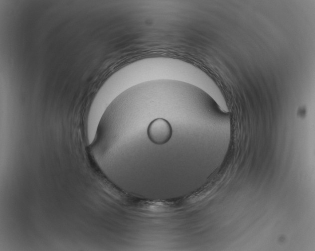 X0000116610229201001081217