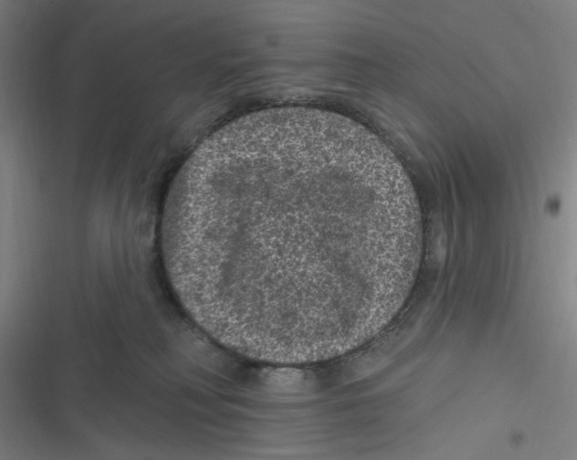 X0000116610230201001081217