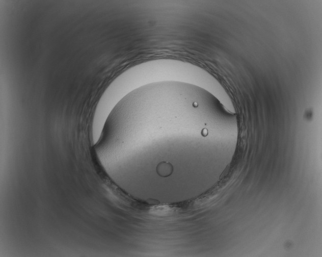 X0000116610231201001081217