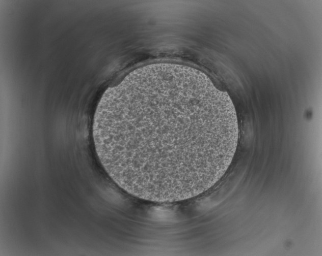 X0000116610232201001081217