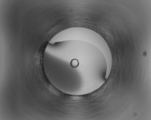 X0000116610233201001081217