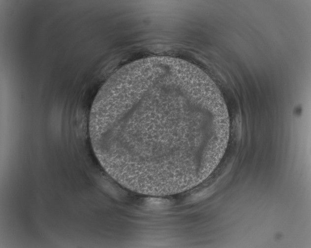 X0000116610234201001081217