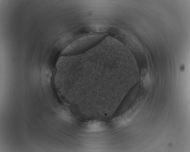 X0000116610235201001081217