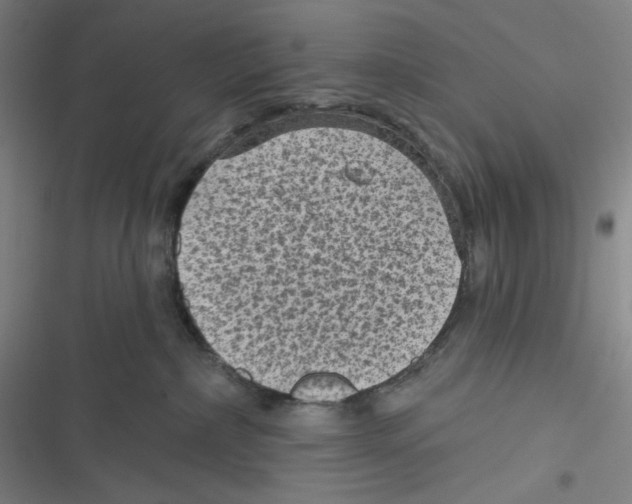 X0000116610236201001081217