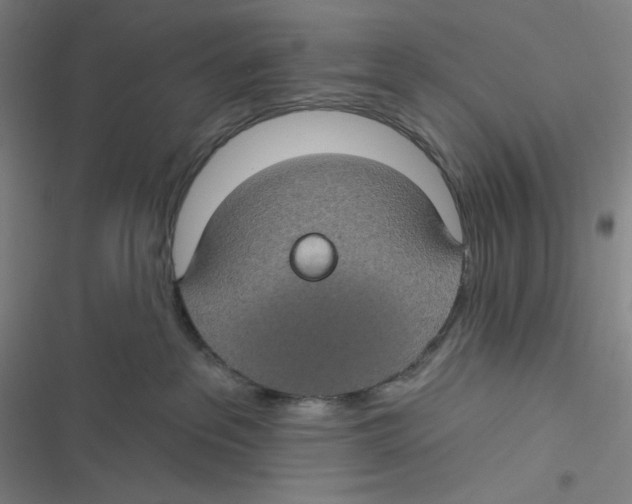 X0000116610237201001081217