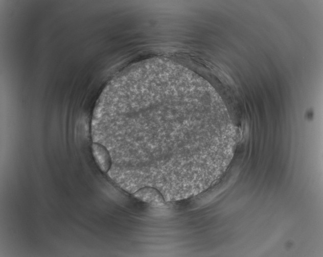 X0000116610238201001081217