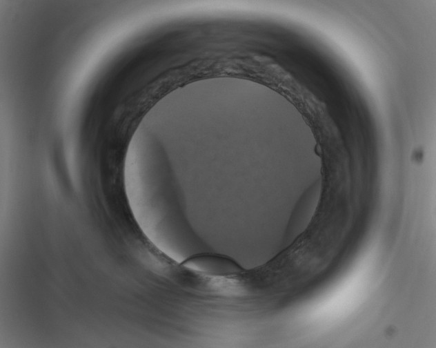 X0000116610239201001081217