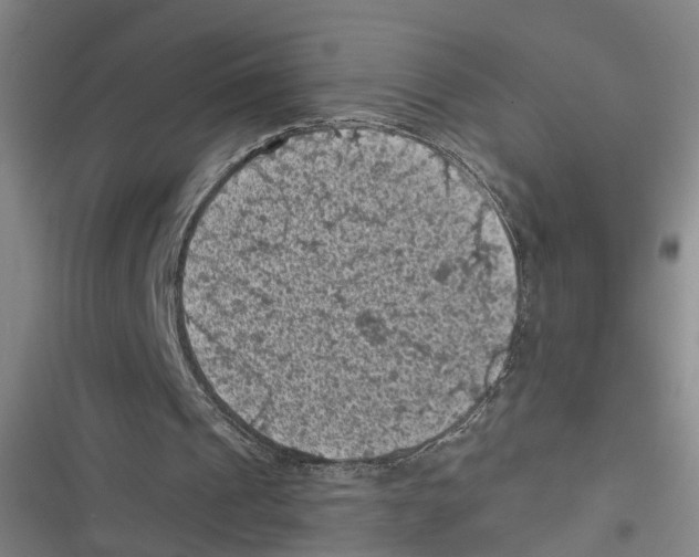 X0000116610241201001081216