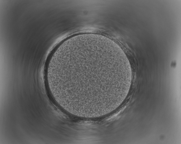 X0000116610244201001081216