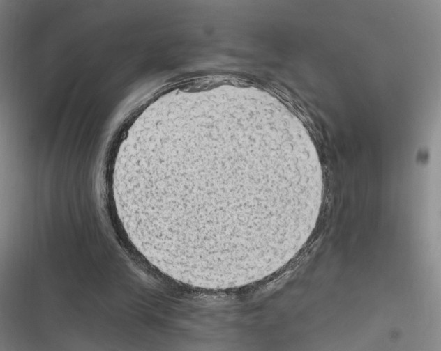 X0000116610245201001081216