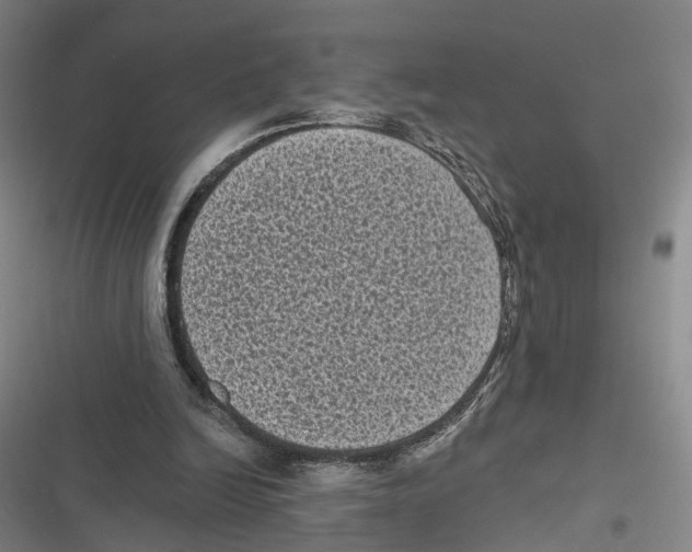 X0000116610246201001081216