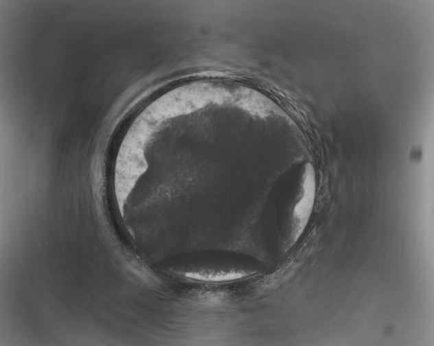 X0000116610247201001081217