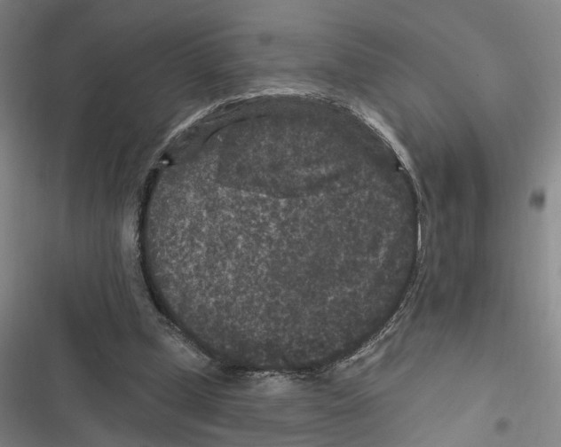 X0000116610249201001081217