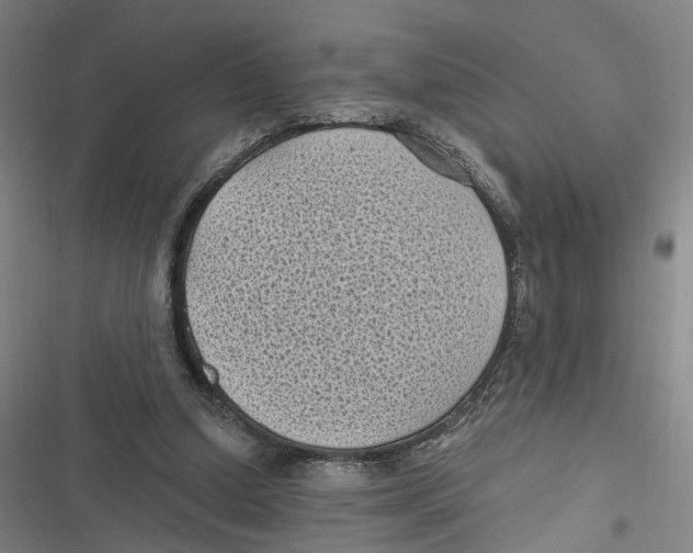 X0000116610250201001081217