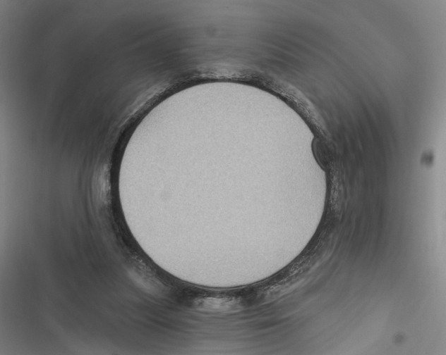 X0000116610251201001081217