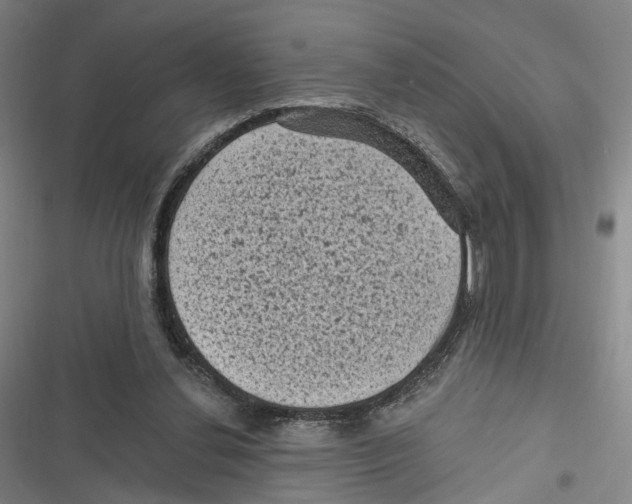 X0000116610252201001081217